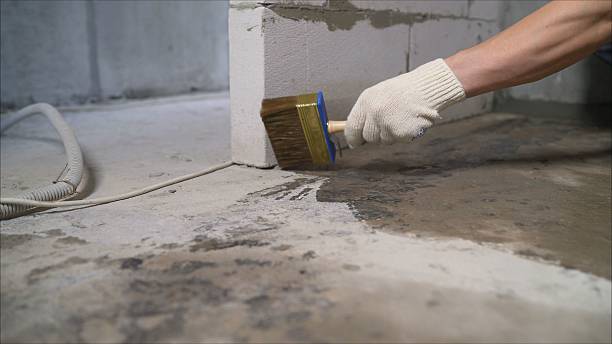 24/7 Emergency Wet Basement Repair experts in Olivet, TN